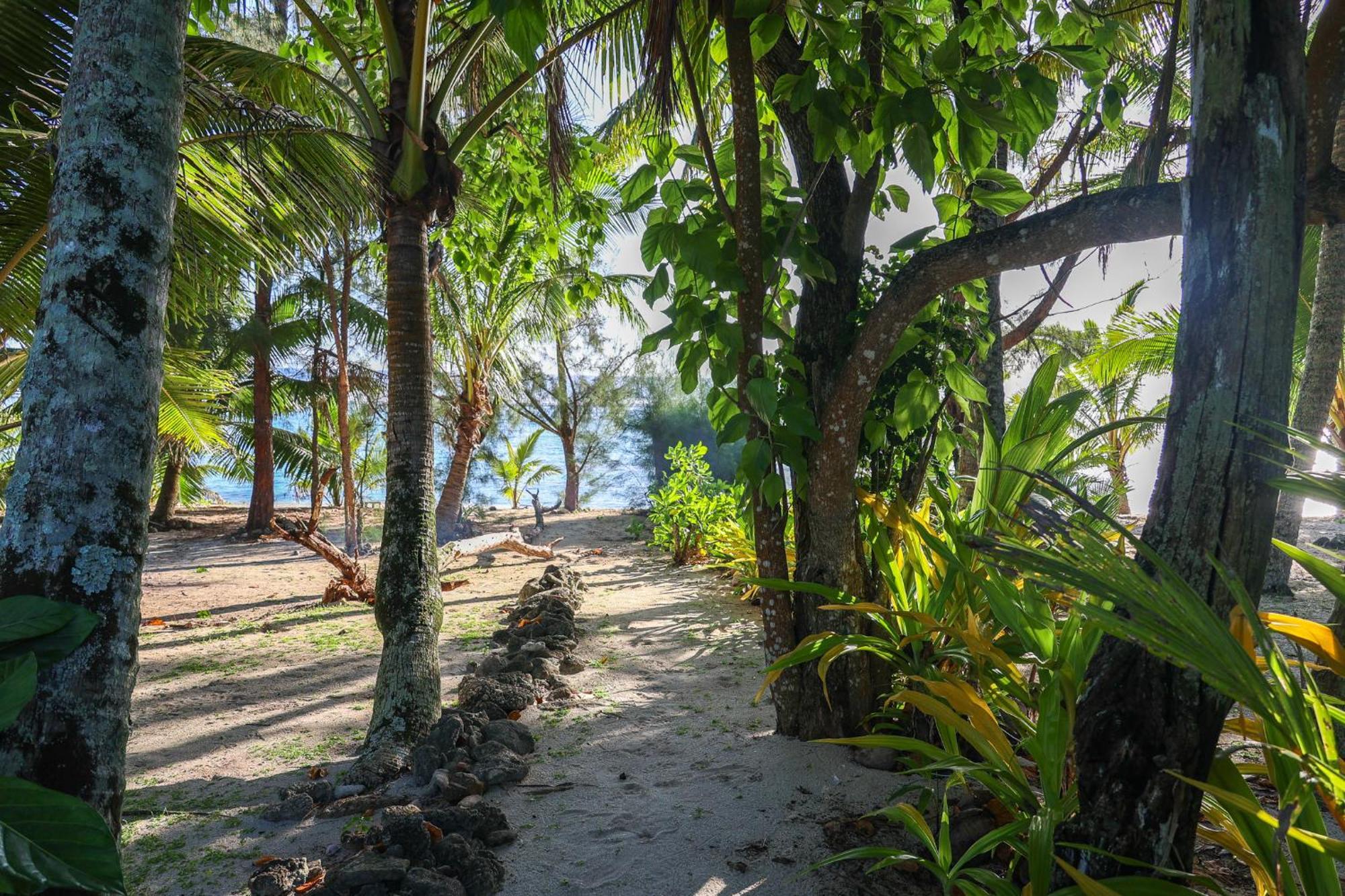 Inave Holidays Rarotonga Exteriér fotografie